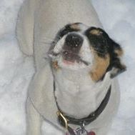 Profile Picture of Alexandra Von Ungern (@alexandravonung) on Pinterest