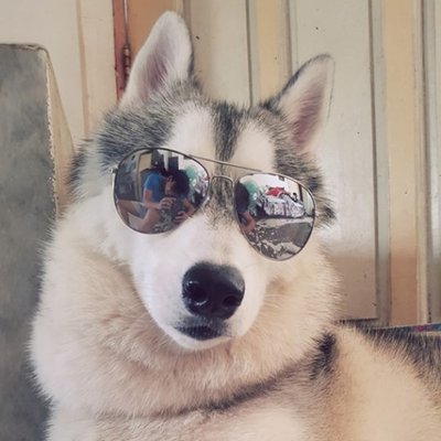 Profile Picture of Paul Daniel Nagera (@PDNagera) on Twitter