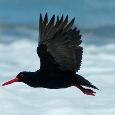 Profile Picture of Robert Manly (@robert_manly) on Twitter