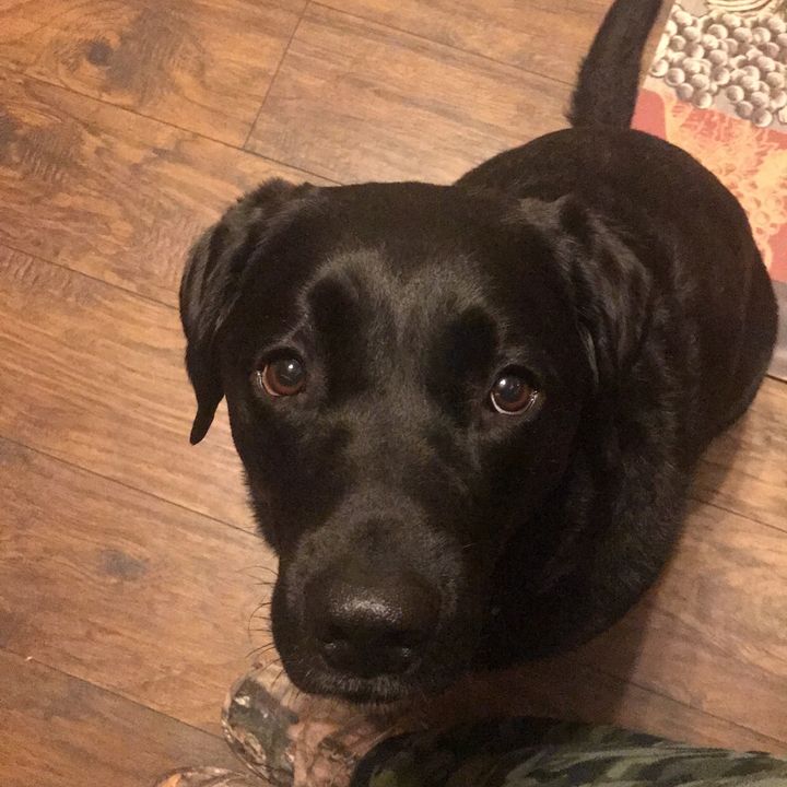 Profile Picture of ✨ Jeremiah.Robert✨ (@jeremiah.robert24) on Tiktok