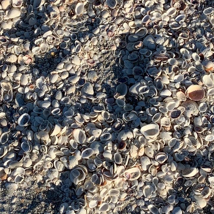 Profile Picture of Kevin Kroeger (@kevinkroeger1) on Tiktok