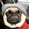 Profile Picture of percypugbath (@percypugbath) on Tiktok