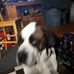 Profile Picture of David Warnick (@david.warnick.948) on Facebook