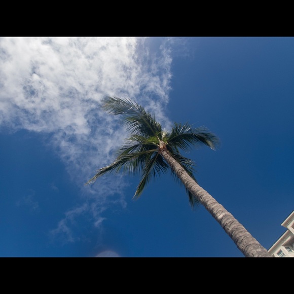 Profile Picture of Julia Friedland (@juliafriedland) on Poshmark