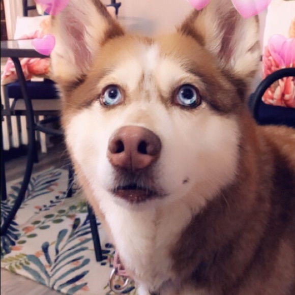 Profile Picture of Patricia Blazes (@pblazes) on Poshmark