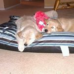 Profile Picture of Caleb Remington (@caleb.remington) on Instagram