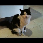 Profile Picture of Daniel Aplin 😜😝❤🐱 (@bubbels5745) on Instagram