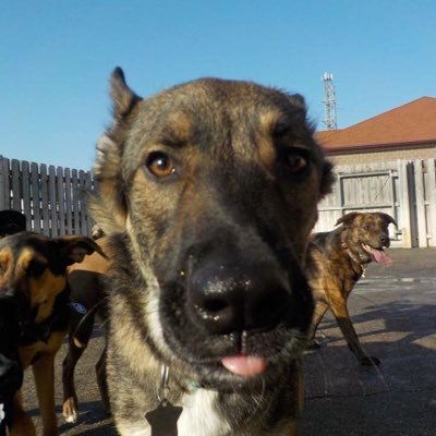 Profile Picture of Bryce Morgan (@brycemorgan2001) on Twitter