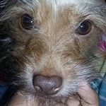 Profile Picture of Corey Gomez (@coreygomez77) on Instagram