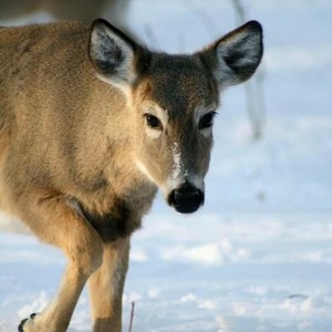 Profile Picture of Steven Endres (@stevenendresjrphotography) on Myspace