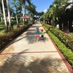 Profile Picture of Steve Hammel (@hammelsteve) on Instagram