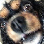 Profile Picture of Colin (@colin.hennessyy) on Instagram