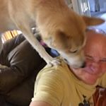 Profile Picture of WhatAboutRob (@robertpartain) on Instagram