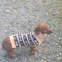 Profile Picture of Fiona Brooks (@fiona-brooks-4) on Quora