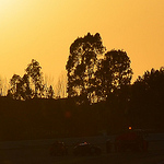 Profile Picture of Adam (@f1 ad) on Flickr