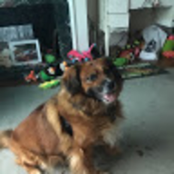 Profile Picture of Linda Bezanson (@bezanson777) on Poshmark