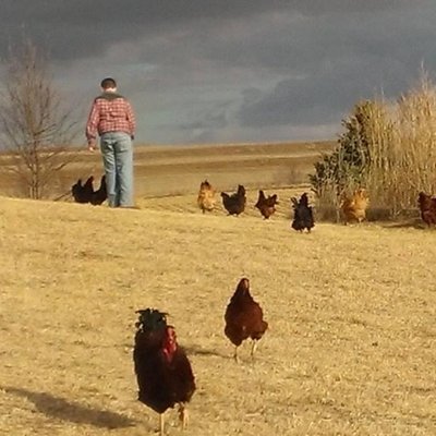 Profile Picture of Ben Hennessy (@BennHenn) on Twitter