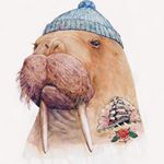 Profile Picture of Alex Salmon (@alex_salmon1) on Instagram