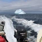 Profile Picture of Mark Hiscock (@markhiscock1) on Instagram