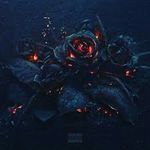 Profile Picture of Chris Rone (@rone.chris03) on Instagram