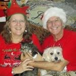 Profile Picture of Glenn-Karen Lightcap MacKay (@glennkarenlightcap) on Instagram