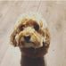 Profile Picture of Jacob McConkey (@jacob.mcconkey.79) on Facebook
