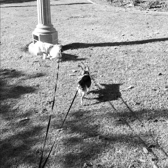 Stephy Diss - Poshmark Profile Picture of Stephy Diss (@stephanieehhd) on Poshmark