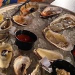 Nicholas Maloney - Instagram Profile Picture of Nicholas Maloney (@nico.loney) on Instagram