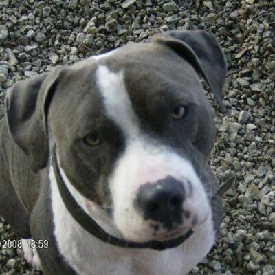 Profile Picture of Chris Waldrop (@WaldropChris) on Twitter