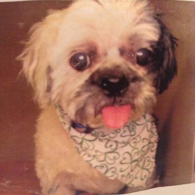 Profile Picture of Adam Burkey (@AdamBurkey1) on Twitter