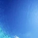 Profile Picture of BYRD (@byrdf) on Instagram