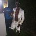 Profile Picture of Noel Reid (@noel.reid.752861) on Facebook