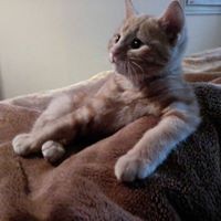 Profile Picture of Tracy Colley (@tracy-colley-5) on Quora