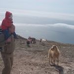 Profile Picture of Andrew Kashchuk (@akashchuk) on Pinterest