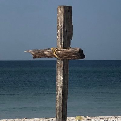 Profile Picture of Tommy Jackson (@TJScout44) on Twitter