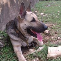 Julio Bobadilla - Quora Profile Picture of Julio Bobadilla (@julio-bobadilla-1) on Quora