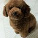Profile Picture of Kit Kit Wong (@kitkitwong) on Pinterest