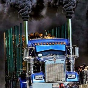 Phillip Halliday - Twitter Profile Picture of Phillip Halliday (@Philliphallida4) on Twitter