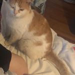 Profile Picture of Jake Blaker (@mxnacingliverserve) on Instagram