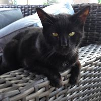 Profile Picture of Danielle Petti (@danielle-petti) on Quora