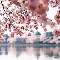 Profile Picture of Beverly Smith (@beverly-smith-66) on Quora