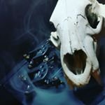 Profile Picture of Daniel Viau (@oprcony63) on Instagram