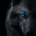 Profile Picture of Mónica Guevara (@Mónica-Guevara) on Facebook