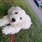 Profile Picture of Kevin McEvoy (@kevin_12._) on Instagram