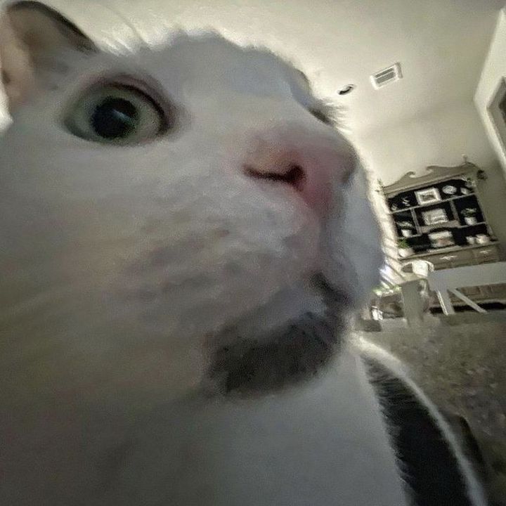 Profile Picture of Yuan Zheng Studio (@yuan.zheng.studio) on Tiktok