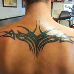 Profile Picture of Timothy Palin (@timothy.palin.7) on Instagram