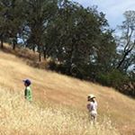 Profile Picture of Debra Skinner (@drovule) on Instagram