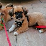 Profile Picture of Michaela mitschke (@michaela.mitschke) on Instagram