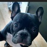 Profile Picture of John Hurlocker (@johnhurlocker) on Instagram
