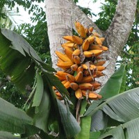 Profile Picture of Hudson Saeni (@hudson-saeni) on Quora